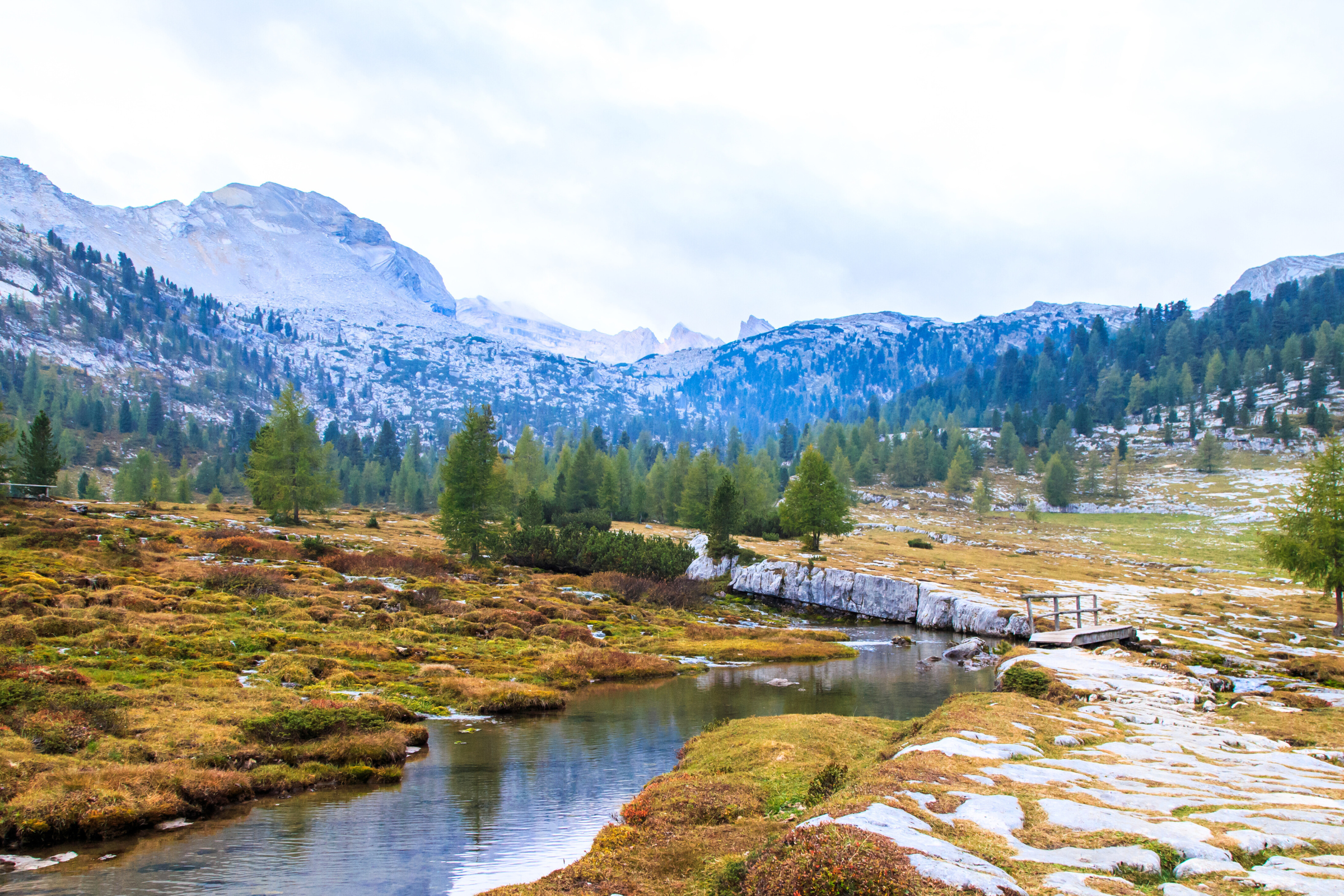 32_Fanes-Sennes_Natural_Park[1].webp